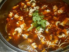 -重庆乌鱼庄·龙滋鲜(青羊大道店)