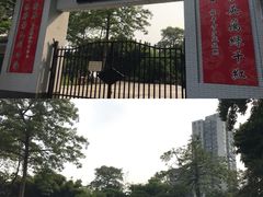 -晓港公园