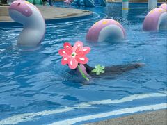 -温都水城·水梦奇缘
