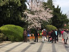 -御花园·粤菜·海鲜火锅(中山公园店)