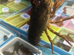 -79号渔船海鲜饭店(华强北店)