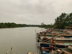 -东寨港红树林旅游区