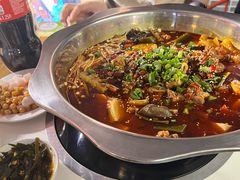 -川囧肥肠鸡·美蛙鱼锅(平高广场店)
