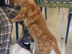 -平行世界·猫咖(首经贸店)