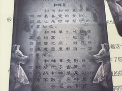 -剧狐剧本杀(徐汇1号店)