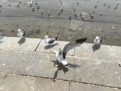-星海广场