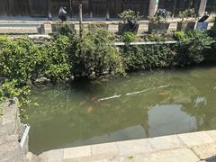 -江南第一家