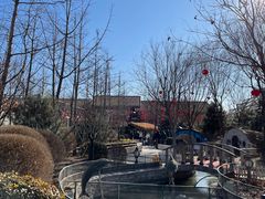 -南宫五洲植物乐园