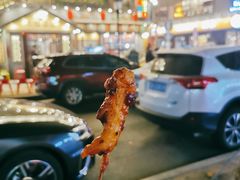 鸡肉小串-辽B·小串(总店)