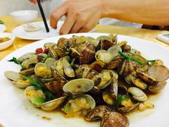 辣炒蛤蜊-海岛渔村大酒店(云霄路店)