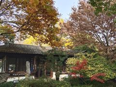 -上海醉白池公园