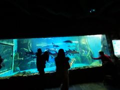 -多彩贵州城极地海洋世界