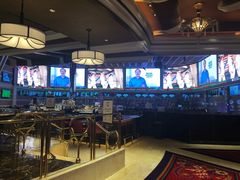 -拉斯维加斯永利酒店