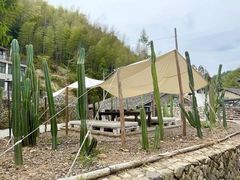 -MOJ coffee(瓯海泽雅水碓坑店)