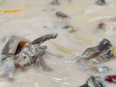 -鲜潭蒸汽石锅鱼(五道口购物中心店)