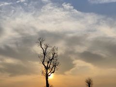 -汉长安城未央宫国家考古遗址公园