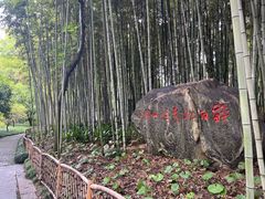 -上海醉白池公园