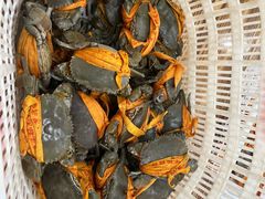 -杨记海鲜楼(三门黑金冠店)