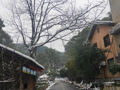 -天怡·鱼工厂(梅溪湖店)