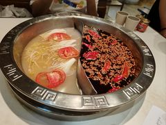 鸳鸯锅-朱氏胖子烂火锅(洪崖洞店)