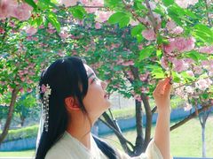 -湘子庙