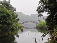 -海南热带雨林国家公园吊罗山景区