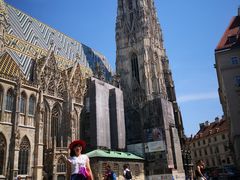 -斯蒂芬主教座堂(Stephansdom)