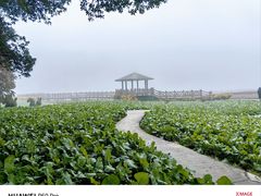 -广州市石门国家森林公园