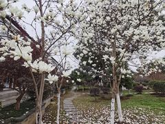 -锦溪古镇