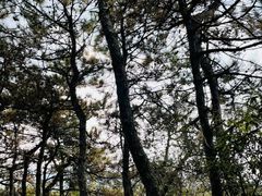 -北京金海湖景区