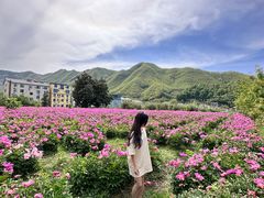 -安吉龙王山峡谷漂流