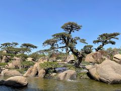 -罗红摄影艺术馆