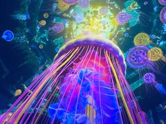 -海合安武汉极地海洋公园