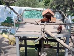 -西霞口神雕山野生动物世界