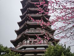 -洋湖国家湿地公园
