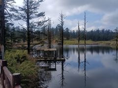 -瓦屋山景区