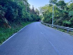 -青龙山国家森林公园