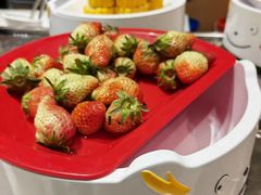 -龍歌自助小火锅(市北CBD万达店)