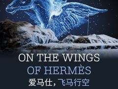 -HERMES(上海恒隆广场店)