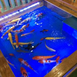 -宝贝王(东城万达店)