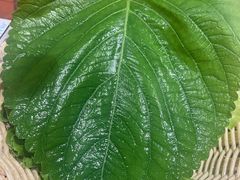 -小米烤肉·和牛原切-创意韩料(东关店)