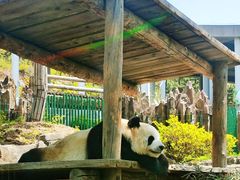 -大连森林动物园