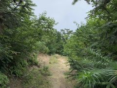 -天姥山