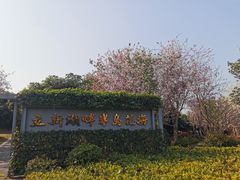 -立新湖公园