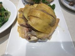 白斩鸡-壹只菜·崇明本地特色菜(崇明南门店)