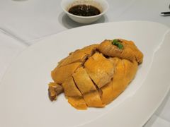 -圆苑(静安寺店)