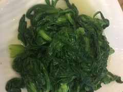 -台北楚楚园馅饼粥(虹桥南丰城店)