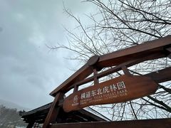 -横道河子东北虎林园