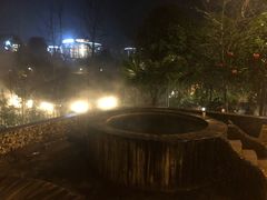 -中铁花水湾温泉酒店(大邑店)
