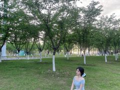 -南京眼步行桥